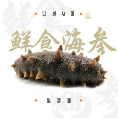 源头工厂大连海参 即食海参口感筋道有嚼劲大连一件代发 海参500g 1包