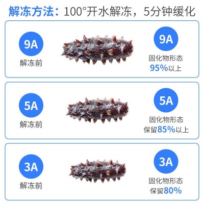 拉缸盐海参60-150头酒店特色食材高涨发率非即食海参礼盒批发源头 1盒图2