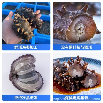拉缸盐海参60-150头酒店特色食材高涨发率非即食海参礼盒批发源头 1盒图3