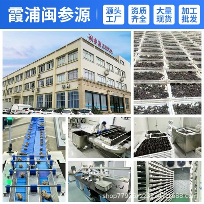 拉缸盐海参60-150头酒店特色食材高涨发率非即食海参礼盒批发源头 1盒图5