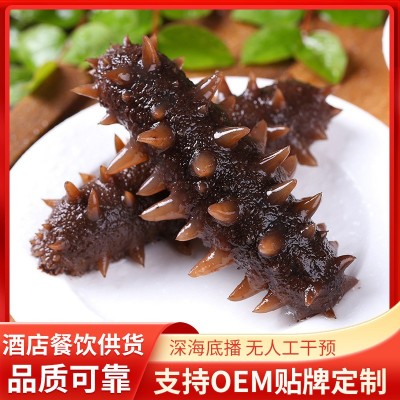 大连冷冻刺参即食海参鲜活辽刺参可代发真空包装开袋即食海参包邮 1件