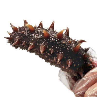 大连冷冻刺参即食海参鲜活辽刺参可代发真空包装开袋即食海参包邮 1件图5