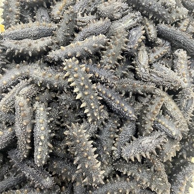 大连冷冻刺参即食海参鲜活辽刺参可代发真空包装开袋即食海参包邮 1件图4