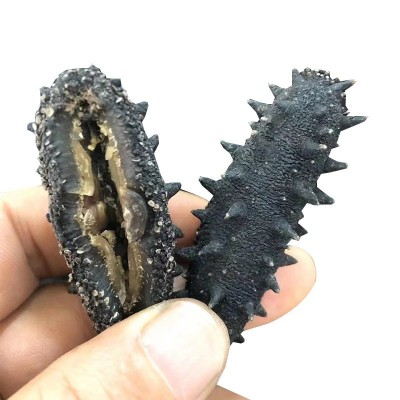 大连淡干海参50g刺参水产干货批发厂家野生辽参礼盒装开口海参 1件图4