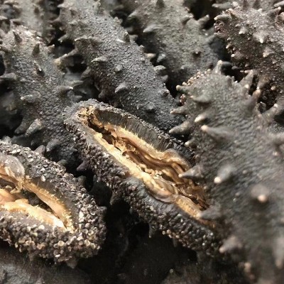 大连淡干海参50g刺参水产干货批发厂家野生辽参礼盒装开口海参 1件图3