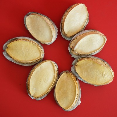 冻干鲍鱼海参工厂批发电商直播代发鲍鱼干货批发冻干鲍鱼礼盒装 20件图2