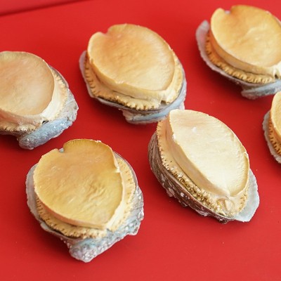 冻干鲍鱼海参工厂批发电商直播代发鲍鱼干货批发冻干鲍鱼礼盒装 20件图3