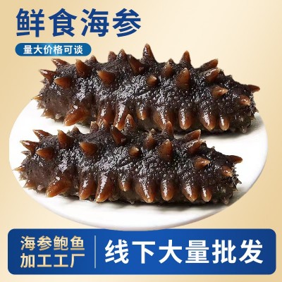 源头工厂直营大连鲜食海参批发刺参鲜食海参大连即食海参批发 2件