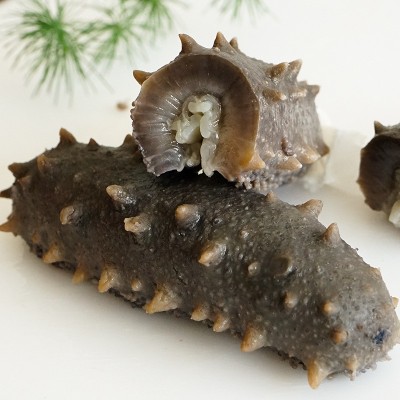 源头工厂直营大连鲜食海参批发刺参鲜食海参大连即食海参批发 2件图2