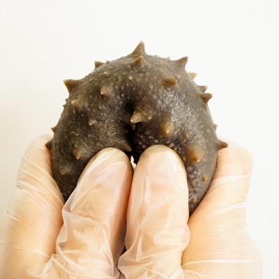 源头工厂直营大连鲜食海参批发刺参鲜食海参大连即食海参批发 2件图4