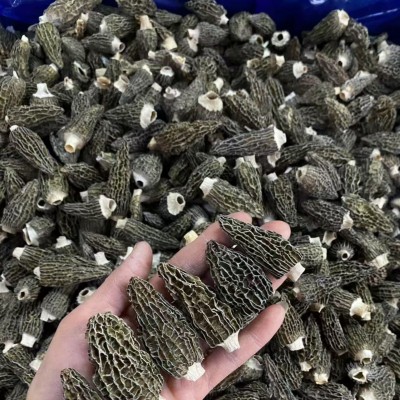 云南特产羊肚菌可礼品500g羊肚菌干货整箱批发菌菇羊肚菌伴手礼 1斤图2