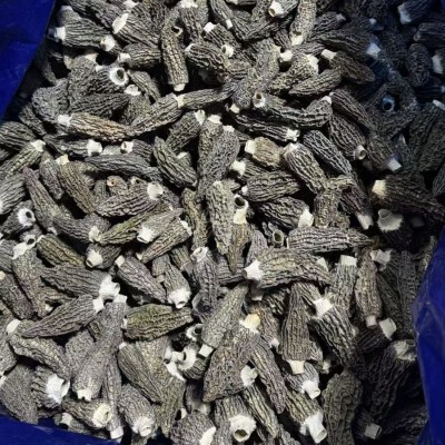 云南特产羊肚菌可礼品500g羊肚菌干货整箱批发菌菇羊肚菌伴手礼 1斤图4