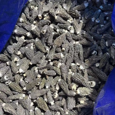 云南特产羊肚菌可礼品500g羊肚菌干货整箱批发菌菇羊肚菌伴手礼 1斤图3