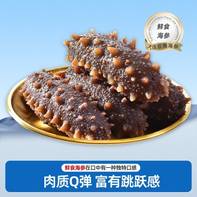 大连海参批发即食500g非干货鲜活鲜食老人营养滋补礼盒海洋 1盒图4