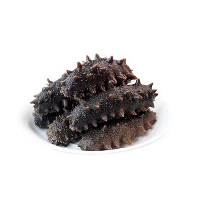 大连鲜活鲜食辽参刺参即食免泡发海参源头工厂批发非淡干野生辽参 2盒图4