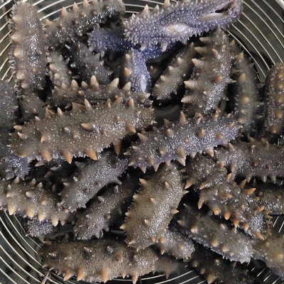 大连鲜活鲜食辽参刺参即食免泡发海参源头工厂批发非淡干野生辽参 2盒图3