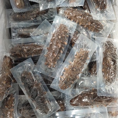 大连鲜活鲜食辽参刺参即食免泡发海参源头工厂批发非淡干野生辽参 2盒图2
