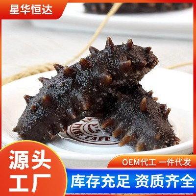 大连鲜活鲜食辽参刺参即食免泡发海参源头工厂批发非淡干野生辽参 2盒