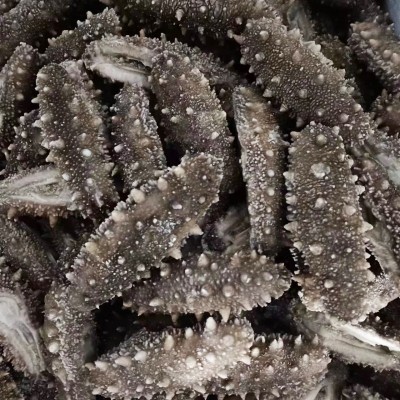 大连鲜食海参非干货冷冻底播水产海参单只独立外包装野生辽刺海参 1包图2