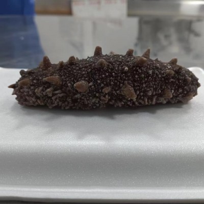 大连鲜食海参非干货冷冻底播水产海参单只独立外包装野生辽刺海参 1包图4