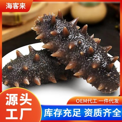 大连鲜食海参非干货冷冻底播水产海参单只独立外包装野生辽刺海参 1包