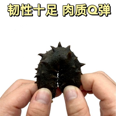 2025年刺参拉缸盐半干海参肉厚养殖大户直销自产自销高密度 2盒图3