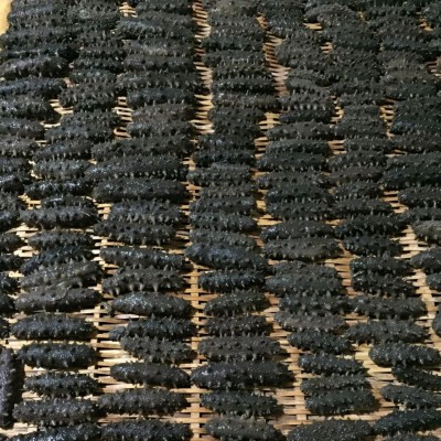 2025年刺参拉缸盐半干海参肉厚养殖大户直销自产自销高密度 2盒图5