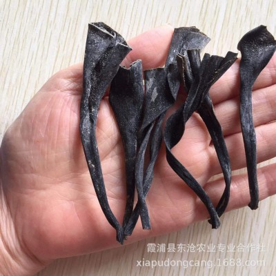 霞浦干海带头500克价厚实批发价厂家自产自销干品健康霞浦特产 2包图2