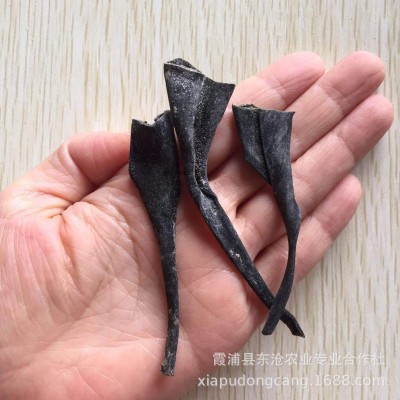 霞浦干海带头500克价厚实批发价厂家自产自销干品健康霞浦特产 2包图4