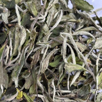 2024福鼎磻溪大毫白牡丹！花香水甜，蜜韵十足，一斤也是批发价！1斤图2