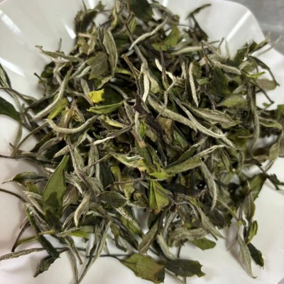 2024福鼎磻溪大毫白牡丹！花香水甜，蜜韵十足，一斤也是批发价！1斤