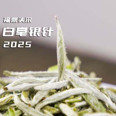 2025头采白毫银针正宗源头点头福鼎白茶白毫毫香支持预定陈香型 1g图2