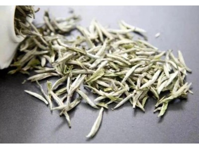 白毫银针是什么茶？