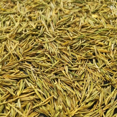 年新茶黄金芽黄金叶黄茶原产地发货 浓香型超高性价比豆香味 50g图4