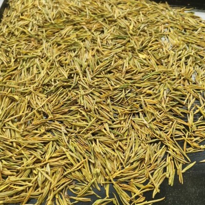 年新茶黄金芽黄金叶黄茶原产地发货 浓香型超高性价比豆香味 50g图2