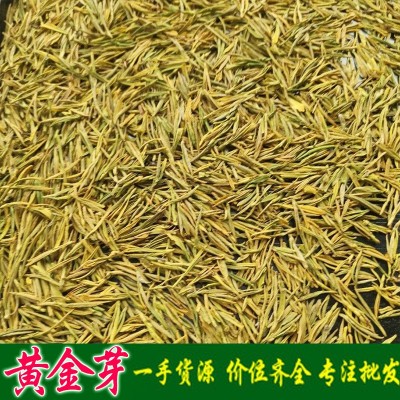 年新茶黄金芽黄金叶黄茶原产地发货 浓香型超高性价比豆香味 50g