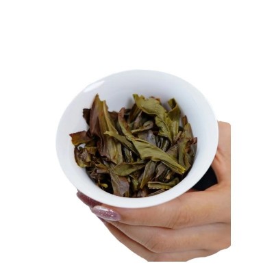 【雪片大乌叶】凤凰单丛冬茶新茶清香型凤凰单枞浓香型锯朵仔茶礼 1千克图4