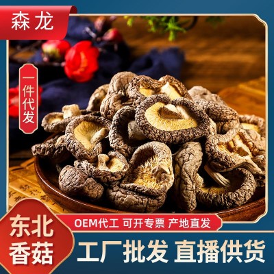 森龙蘑菇金钱菇250g东北特产椴木香菇干货脱水蔬菜菌菇一件代发 1件