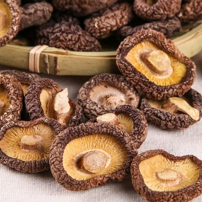 森龙蘑菇金钱菇250g东北特产椴木香菇干货脱水蔬菜菌菇一件代发 1件图2