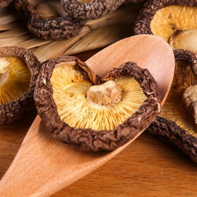 森龙蘑菇金钱菇250g东北特产椴木香菇干货脱水蔬菜菌菇一件代发 1件图4