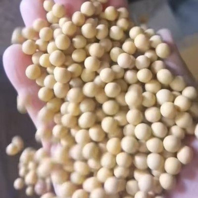 批发东北大豆蛋白含量40%非转基因黄豆健身营养五谷杂粮100斤豆类 1件图3