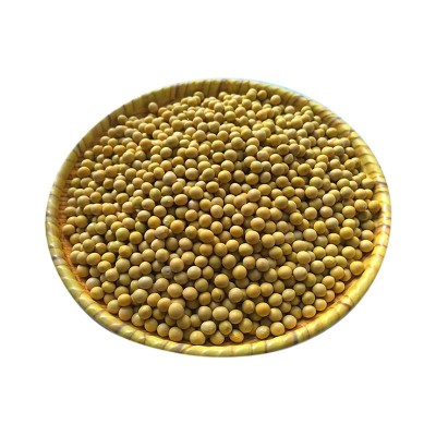 批发东北大豆蛋白含量40%非转基因黄豆健身营养五谷杂粮100斤豆类 1件图5