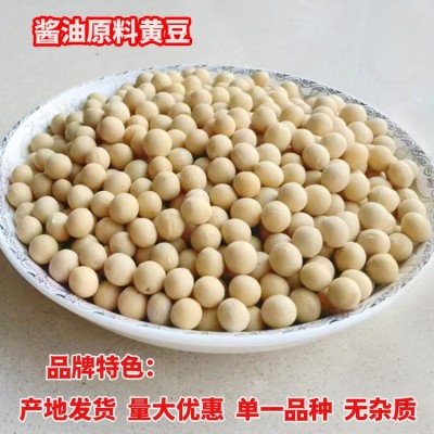 至盈黄金豆新粮现货批发东北大豆非转基因酱油专用黄豆100斤商用 1件