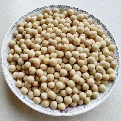 至盈黄金豆新粮现货批发东北大豆非转基因酱油专用黄豆100斤商用 1件图2