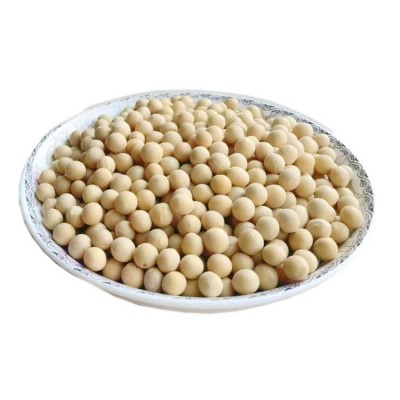 至盈黄金豆新粮现货批发东北大豆非转基因酱油专用黄豆100斤商用 1件图5