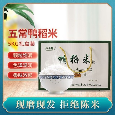 厂家批发五常鸭稻香米大米东北特产鸭礼盒装送礼年货年货精选 1箱
