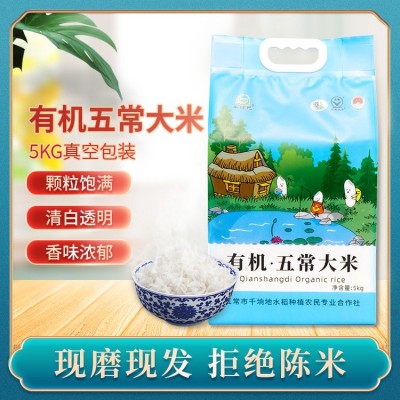 产地发货千垧地有机大米稻花香米五常新米东北大米袋装米5kg10斤 1袋
