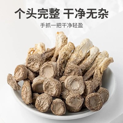 双枒子特产鹿茸菇干货鹿茸菌料火锅食材批发菇特级东北特产 1件