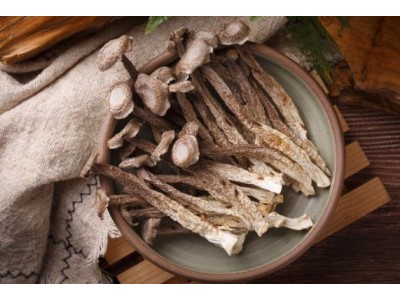 鹿茸菇与茶树菇，探寻食用菌的奇妙世界，品味大自然的馈赠