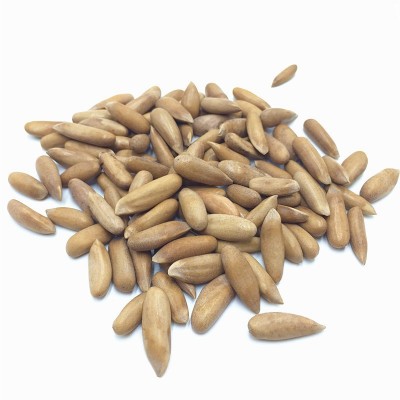 锦宏泰 手剥巴西松子原味新货毛重量250g净含量150g净重500g罐装 2罐图5